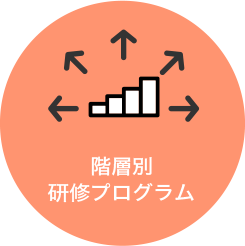 階層別研修プログラム